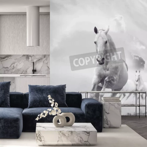 Fototapete Energisches, weißes pferd