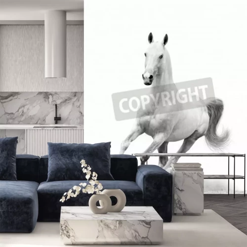 Fototapete Weißes pferd auf einer sandigen straße