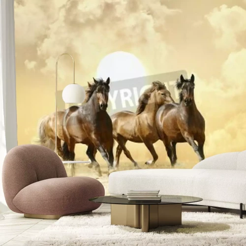 Fototapete Pferdeherde in der sonne