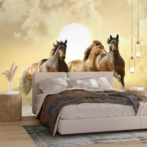 Fototapete Pferdeherde in der sonne