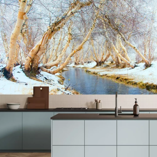 Fototapete Birken über Fluss gebeugt