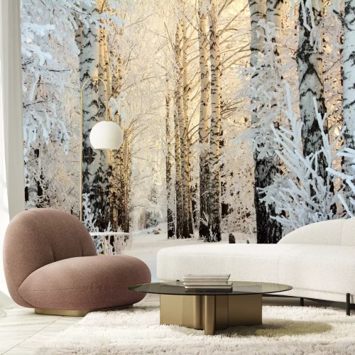 Fototapete Winter im Birkenwald