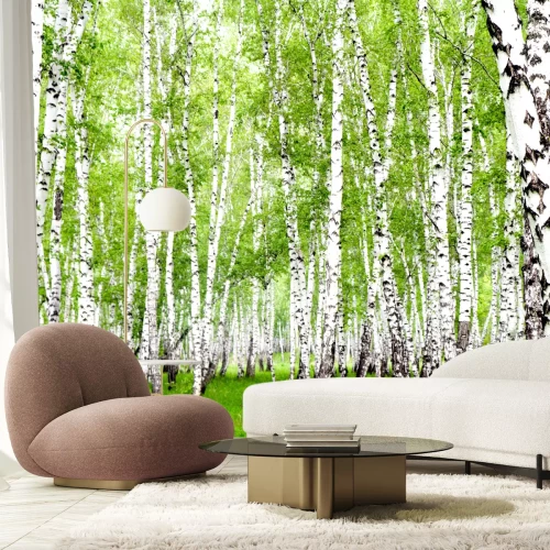 Fototapete Birken in gesättigten Farben