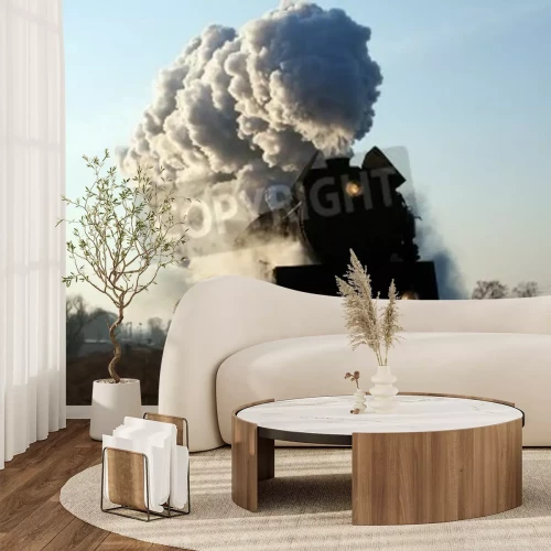 Fototapete Schwarzer Zug im Dampf