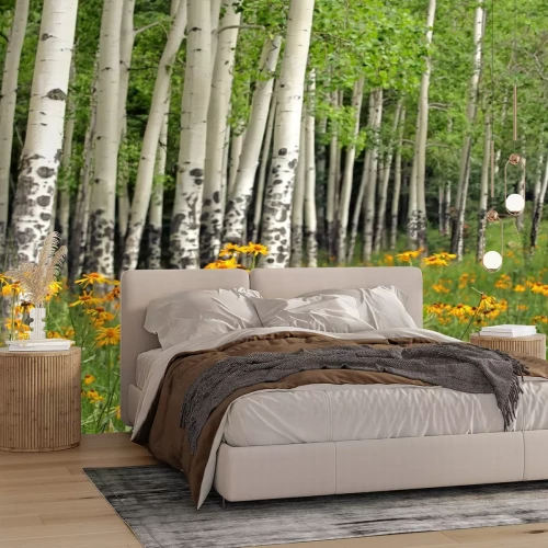 Fototapete Birken und gelbe Blumen