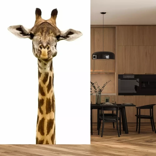 Sticker Giraffe aus nächster Nähe auf Foto