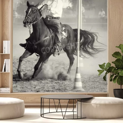 Fototapete Hengst mit einem rodeoreiter