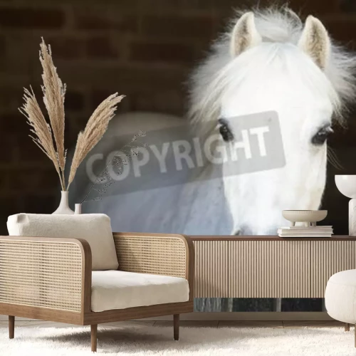 Fototapete Pferdekoppel