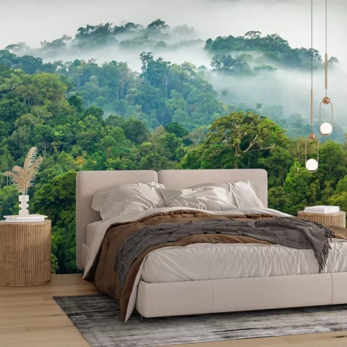 Fototapete Dschungel im dichten Nebel