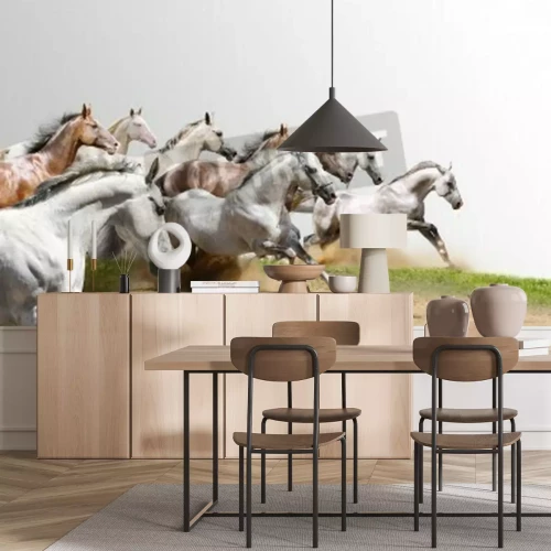 Fototapete Rennende pferdeherde