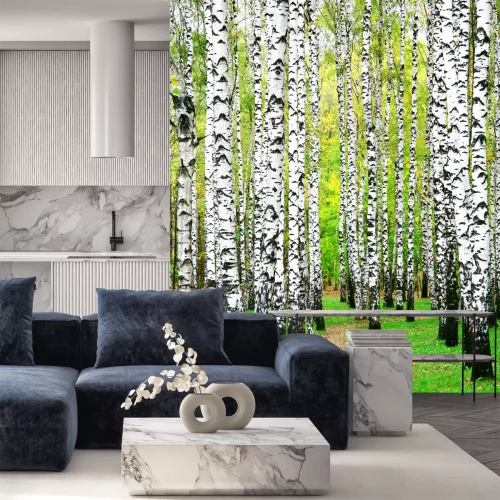 Fototapete Weg durch Birkenhain