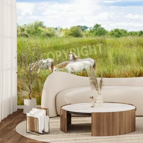 Fototapete Auf der wiese weidende pferde