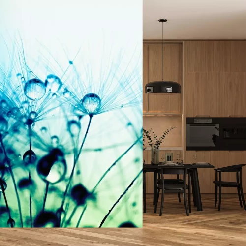 Fototapete Türkisfarbene Samen der Pusteblume