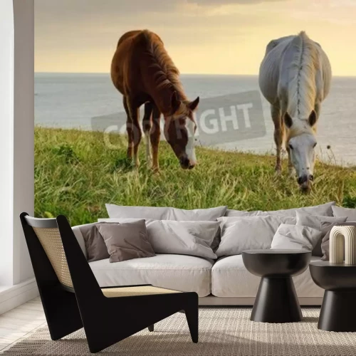 Fototapete Weidende pferde