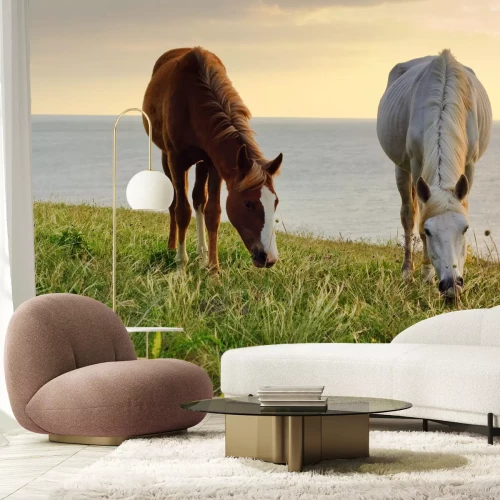 Fototapete Weidende pferde