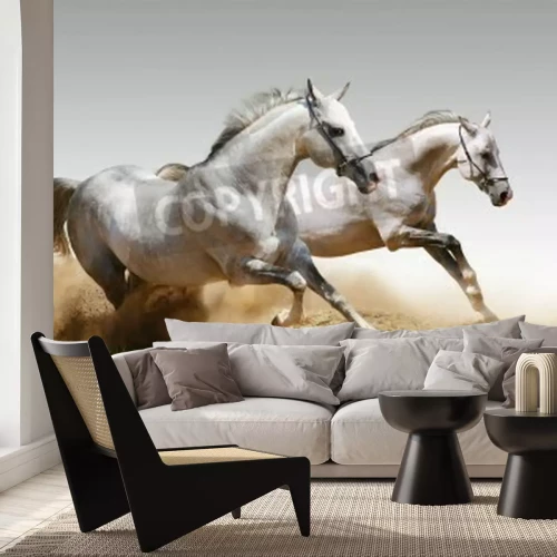 Fototapete Rennpferde