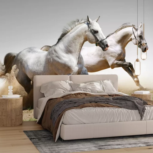 Fototapete Rennpferde