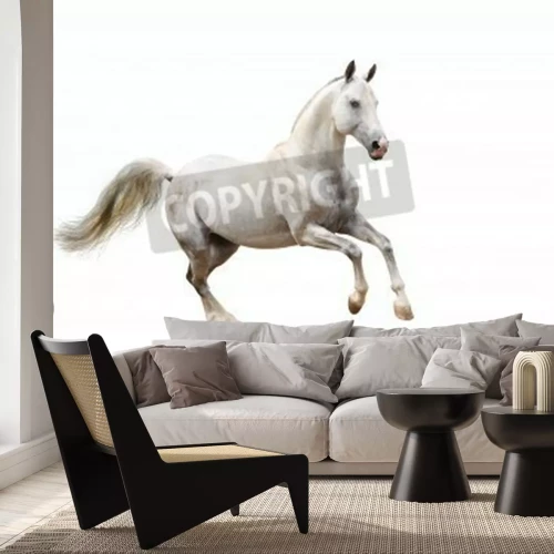 Fototapete Hengst-muster auf weißem hintergrund