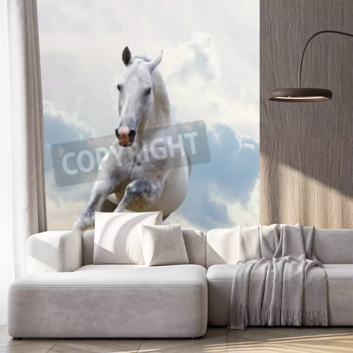 Fototapete Weißes pferd am himmel