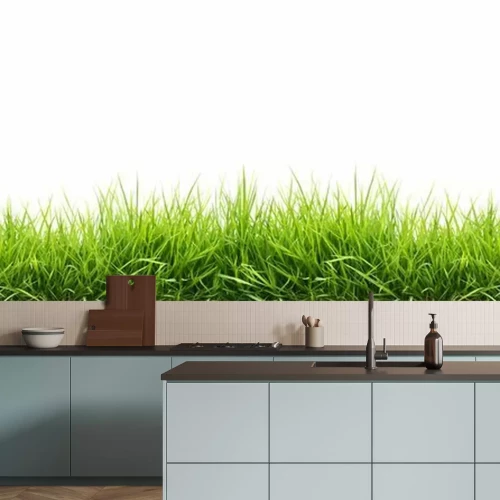 Fototapete Frischem grünen Gras Frühjahr