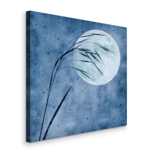 Bild old paper background with grass stalk and full moon