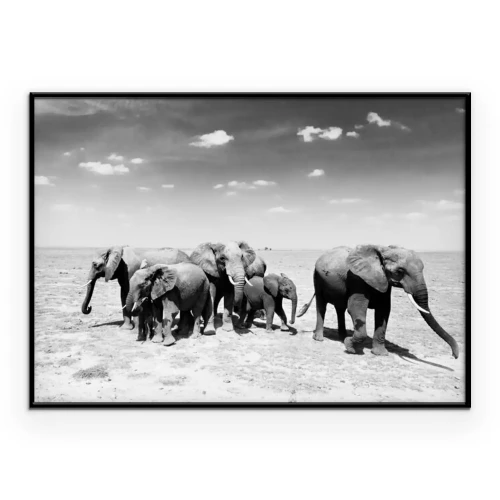 Poster Schwarz-Weiß-Foto von Elefanten in der Savanne