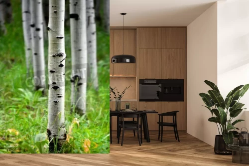 Visualisierung des Produkts