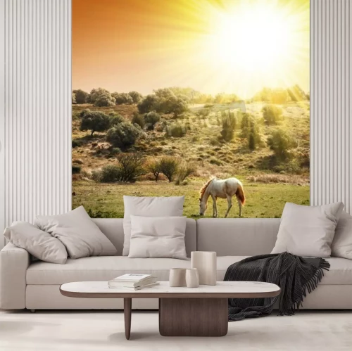 Fototapete Sonnige landschaft mit einem pferd