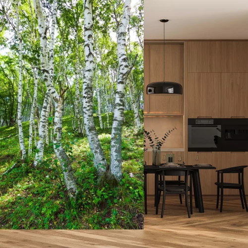 Fototapete Birken im chinesischen Wald