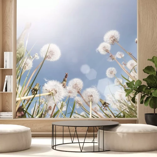 Sticker Blumen von Löwenzahn gegen den Hintergrund des Himmels