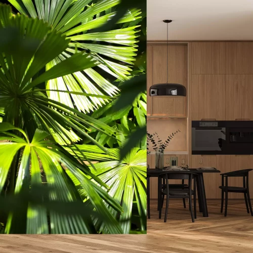 Fototapete Dschungelpflanzen in der Sonne