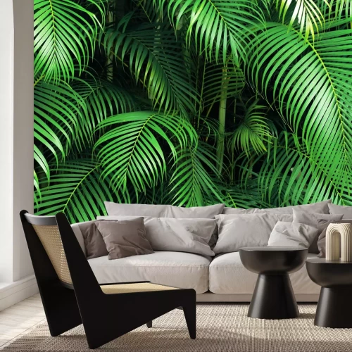 Fototapete Palmenblätter im Dschungel