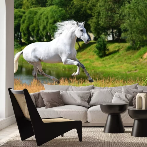 Fototapete Durch eine wiese laufende stute