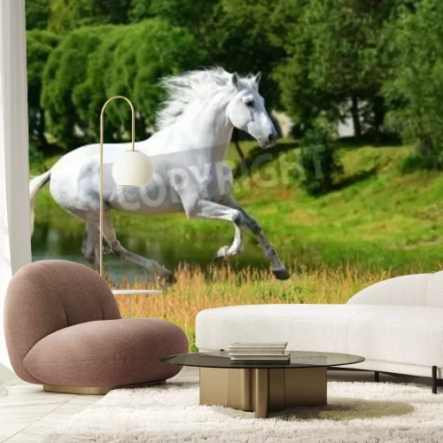 Fototapete Durch eine wiese laufende stute