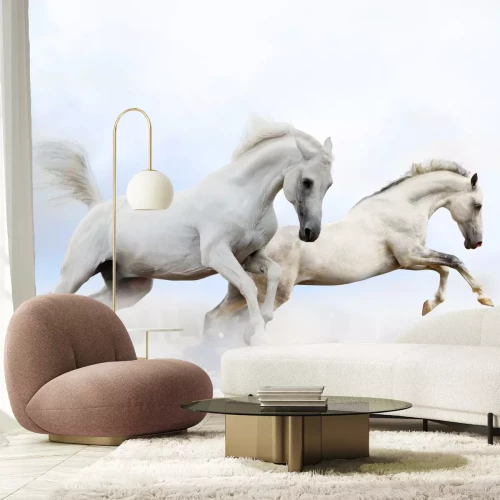 Fototapete Zwei springende pferde