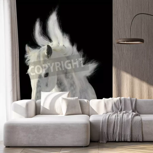 Fototapete Tier mit einer geschlagenen mähne