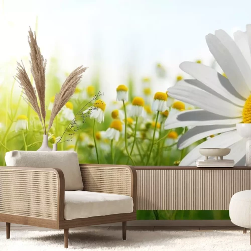 Sticker Feldblumen in der Sonne