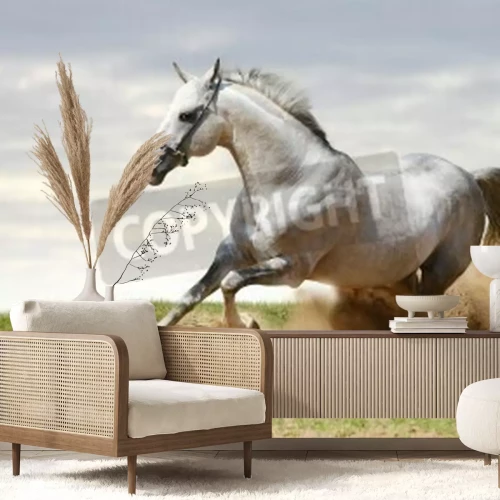 Fototapete Auf sand rennendes pferd