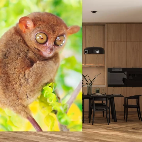 Sticker Tiere Philippinen-Koboldmaki mit weit geöffneten Augen