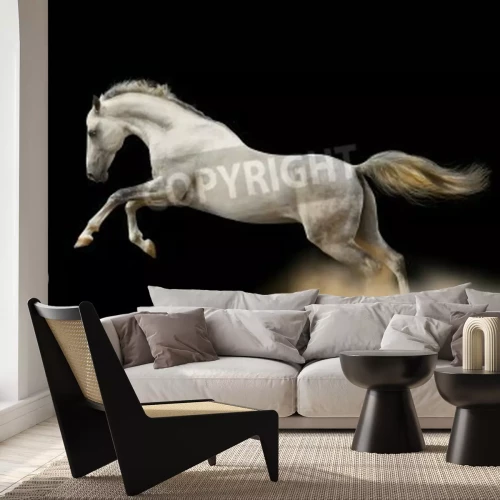 Fototapete Springendes pferd auf dunklem hintergrund