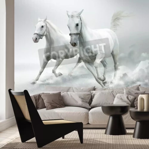 Fototapete Weiße pferde im staub