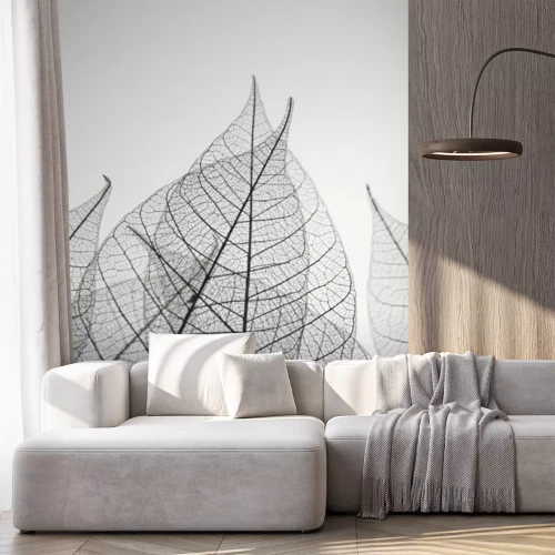 Sticker Schwarz-weiße Blätter aus nächster Nähe