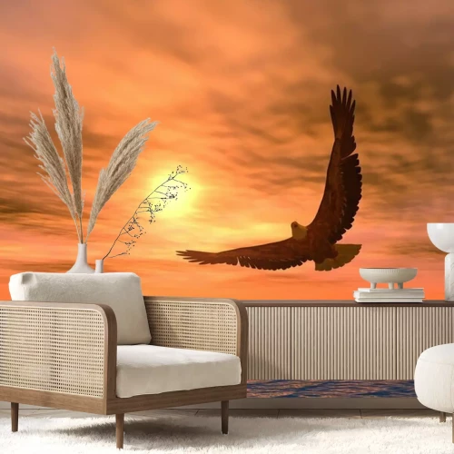 Fototapete Adler vor dem Hintergrund der untergehenden Sonne