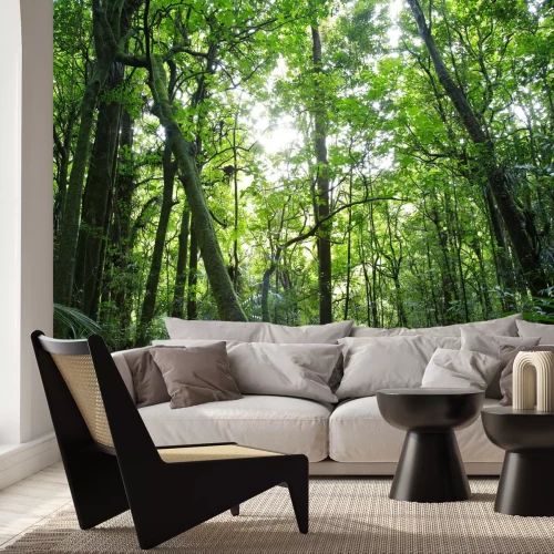 Fototapete Bäume im tropischen Wald