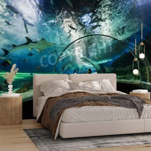 Fototapete Tunnel im Ozeanarium mit Haien