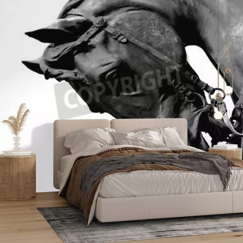 Fototapete Schwarzer hengst vor einem hellen hintergrund