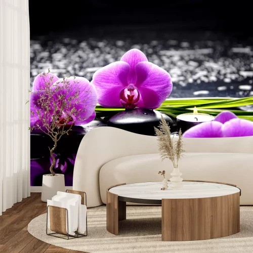 Sticker Spa Stilleben mit Satz von rosa Orchidee und Steine ​​Reflexion