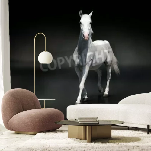 Fototapete Majestätisches pferd auf schwarzem hintergrund