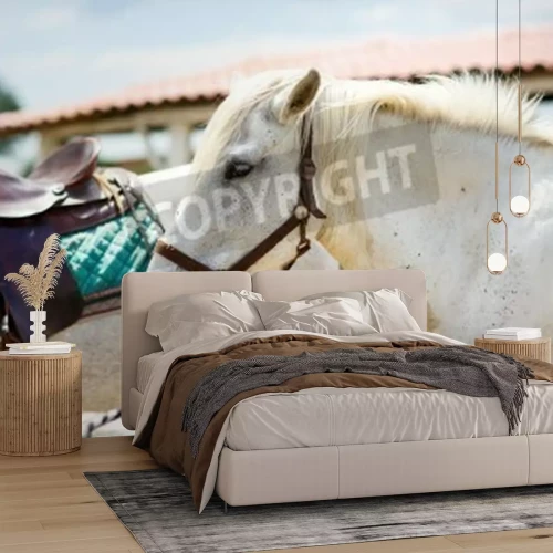 Fototapete Beim stall stehende pferde