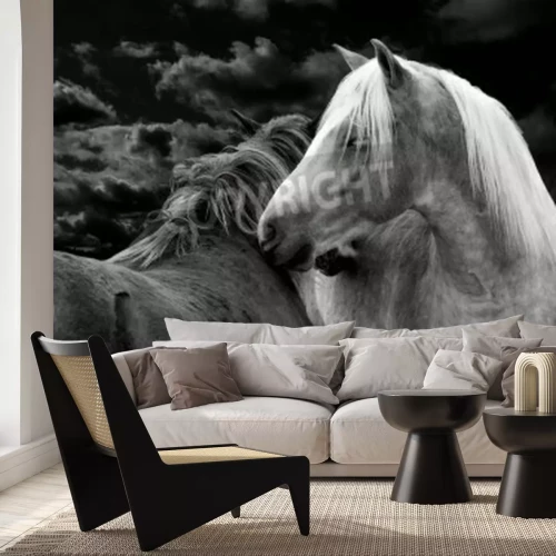 Fototapete Nächtliches bild der pferde